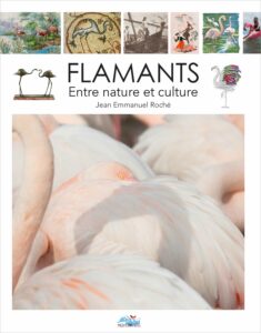 FLAMANTS, entre nature et culture